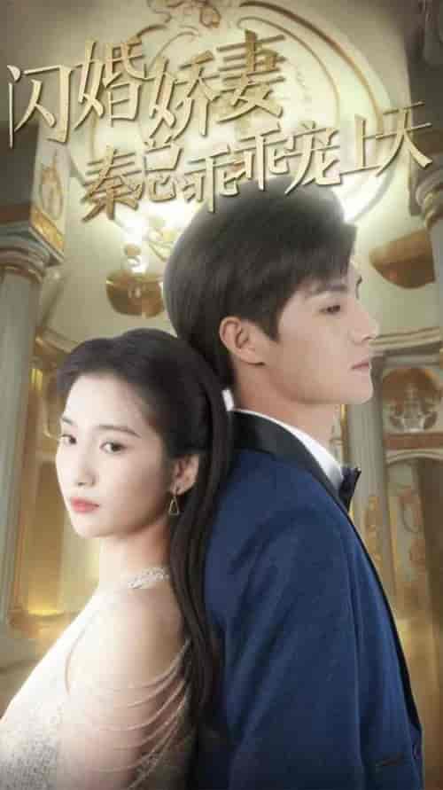 闪婚娇妻秦总乖乖宠上天(84集)-紫橙资源网