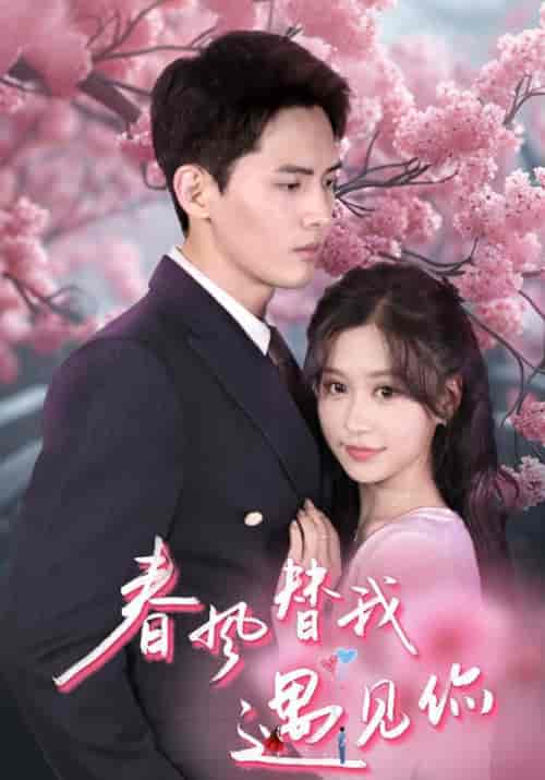 春风替我遇见你(100集)黎不忘&凌念-紫橙资源网