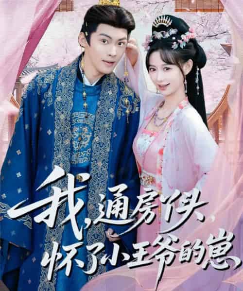 我,通房丫头,怀了小王爷的崽(60集全)高张博&盛佳琦-紫橙资源网