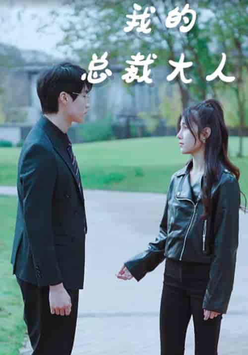 我的总裁大人（85集）-紫橙资源网
