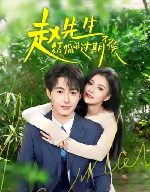 赵先生结婚证过期不候（50集全）郭伊慧＆张宸硕-紫橙资源网