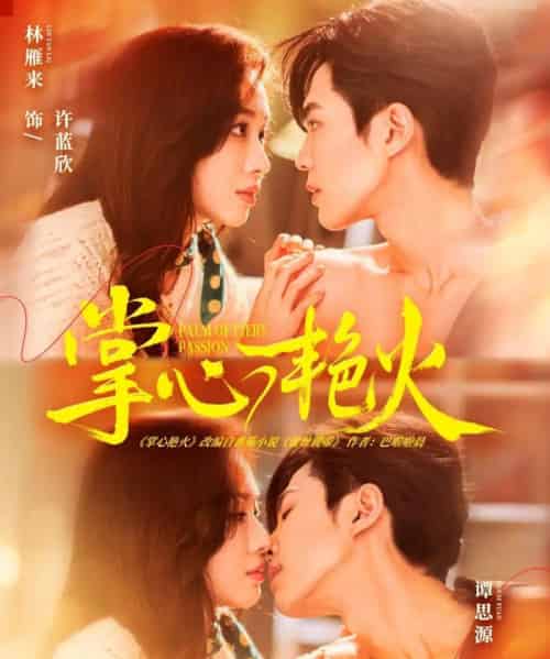 掌心艳火(70集全)谭思源&林雁来-紫橙资源网