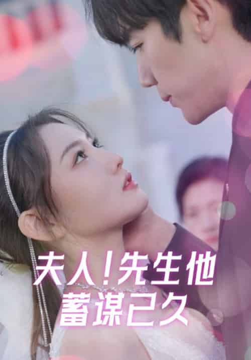 夫人！先生他蓄谋已久（99集全）陆宴时＆叶南笙-紫橙资源网