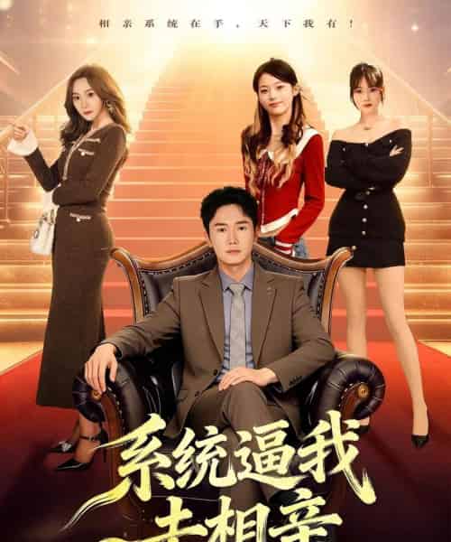 系统逼我去相亲（67集全）许顺利＆鹿子祺 - 紫橙短剧