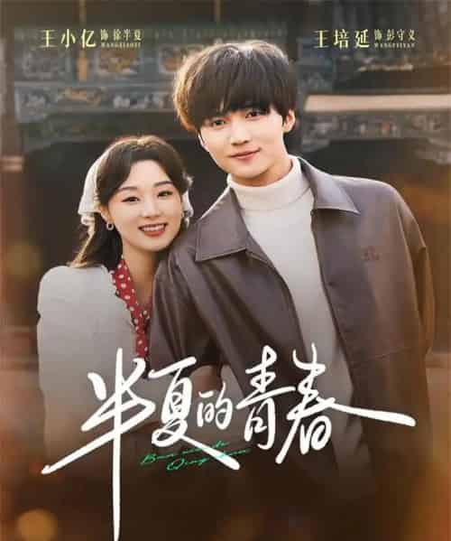 半夏的青春(80集全)王培延&王小亿-紫橙资源网
