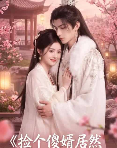 捡个傻婿居然是落难皇嗣(35集全)AI-紫橙资源网