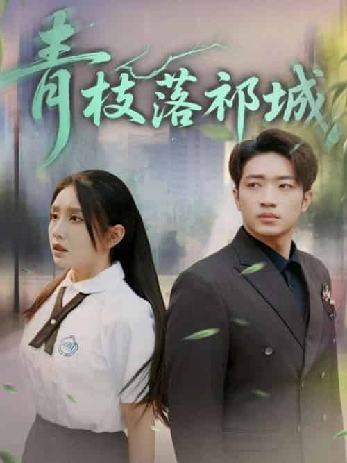 青枝落祁城(71集全)陈坤&朱心怡-紫橙资源网