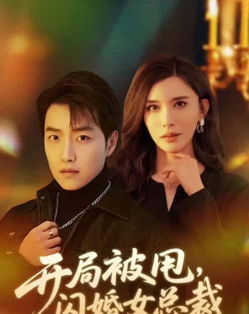 开局被甩,闪婚女总裁(80集全)任志鹏&王希如-紫橙资源网