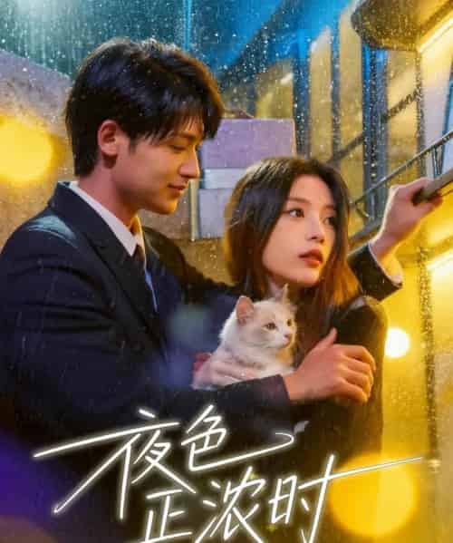 夜色正浓时（32集全）徐梅＆谭伟英＆博之-紫橙资源网