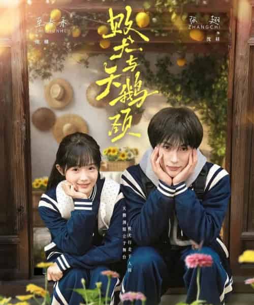 败犬与天鹅颈(71集全)张翅&至春禾-紫橙资源网