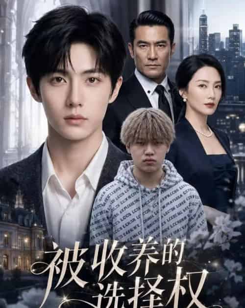 被收养的选择权(88集全)AI-紫橙资源网