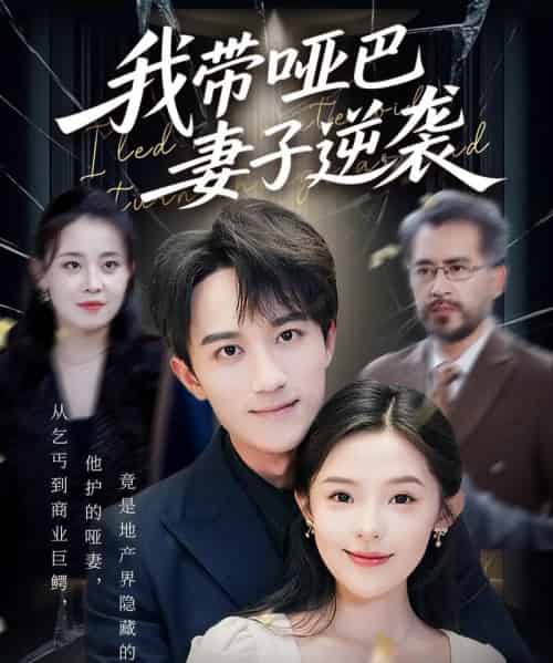 我带哑巴妻子逆袭 共75集-紫橙资源网