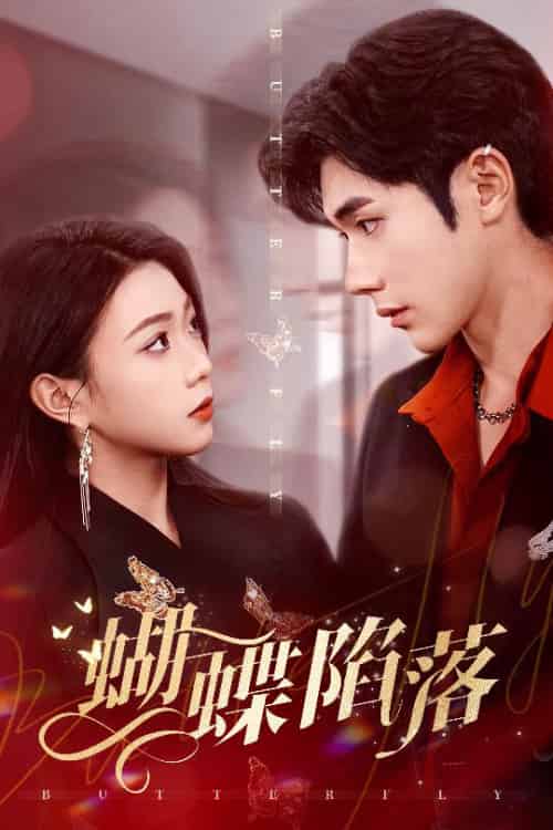 蝴蝶陷落(60集全)李铂一&周玉玲-紫橙资源网