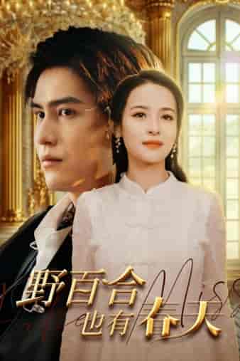 野百合也有春天（85集）王霭玲-紫橙资源网