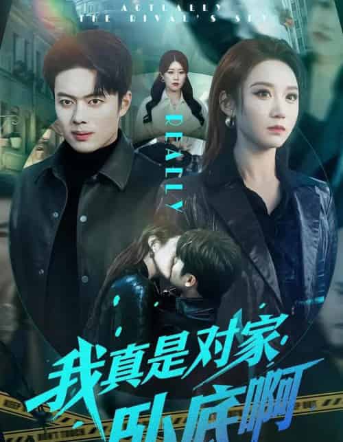 我真是对家卧底啊(100集全)林千仟&韩一波-紫橙资源网