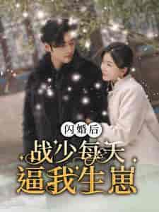 闪婚后战少每天逼我生崽（91集）林籽蓉-紫橙资源网