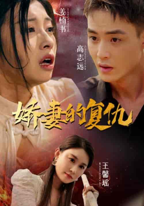 娇妻的复仇(30集)-紫橙资源网
