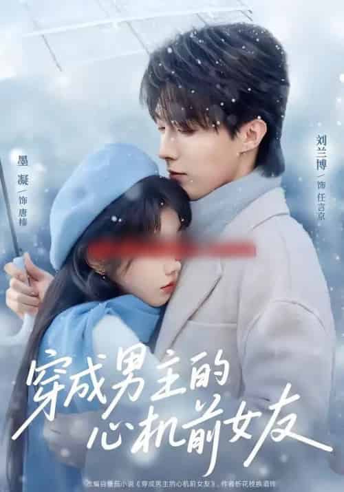 穿成男主的心机前女友(63集全)刘兰博&墨凝-紫橙资源网