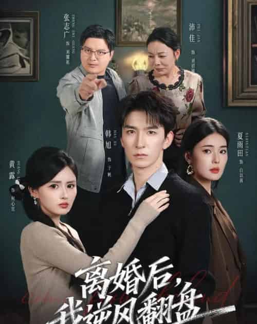 离婚后,我逆风翻盘(83集全)韩旭&黄露-紫橙资源网