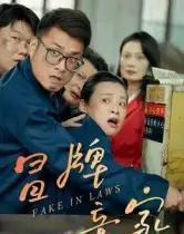 冒牌亲家（30集全）朱青青＆李炜-紫橙资源网