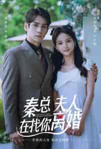 秦总，夫人在找你离婚（79集）马倩倩-紫橙资源网