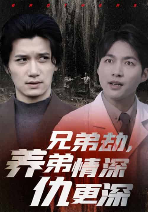 兄弟劫，养弟情深仇更深（35集全）萧凡＆萧云-紫橙资源网