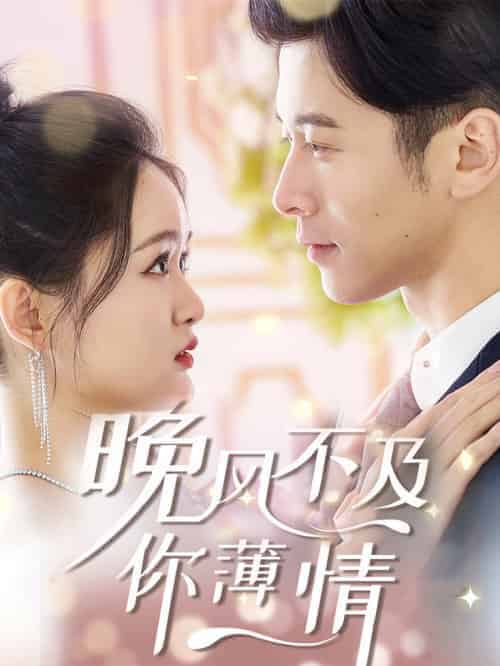 晚风不及你薄情（85集全）-紫橙资源网
