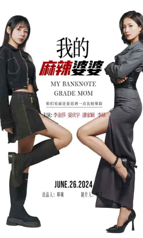 我的麻辣婆婆&我的超级老妈(80集)-紫橙资源网