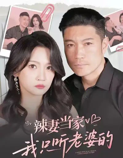 辣妻当家，我只听老婆的（50集全）-紫橙资源网
