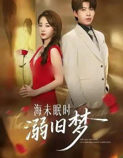海未眠时溺旧梦（80集全）孟嘉鑫＆王为洋-紫橙资源网
