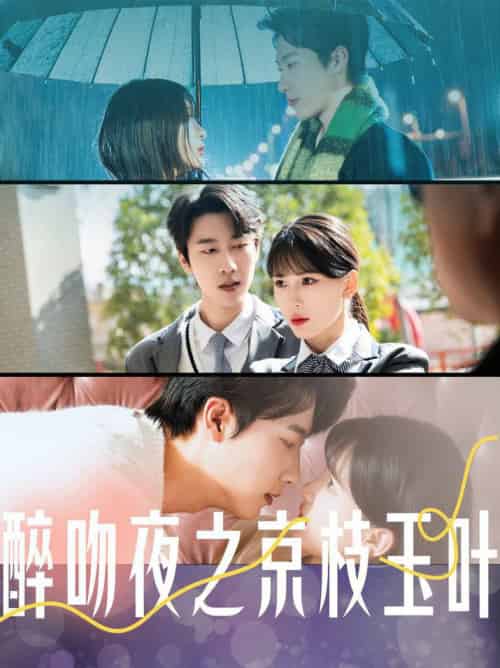 醉吻夜之京枝玉叶(90集全)张韫韬&杨洁-紫橙资源网