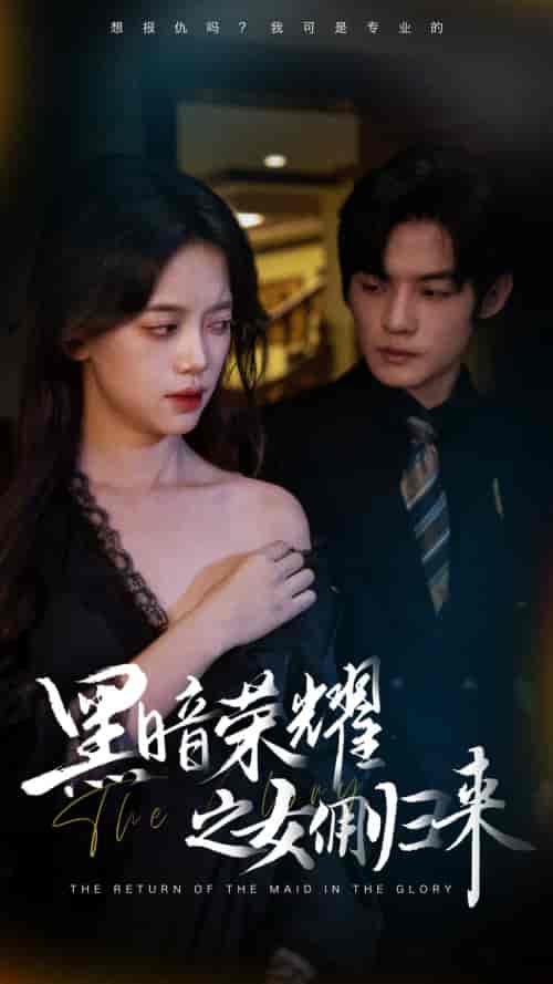 黑暗荣耀之女佣归来(80集)-紫橙资源网