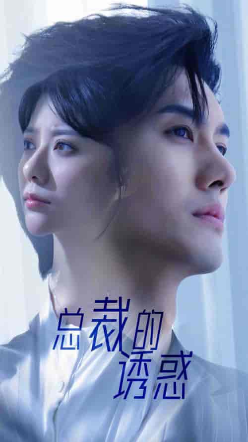 总裁的诱惑（82集）-紫橙资源网