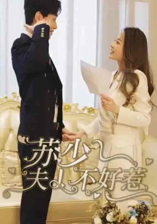 苏少夫人不好惹(90集全)苏云景&赵汐月-紫橙资源网