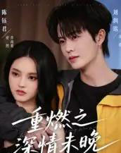 重燃之深情未晚（70集全）刘润铭＆陈钰君-紫橙资源网