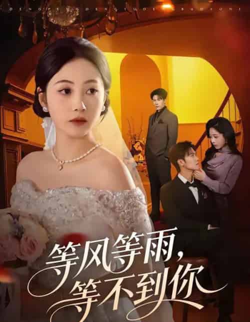 等风等雨,等不到你(65集全)陈京霖&曾和惠子-紫橙资源网