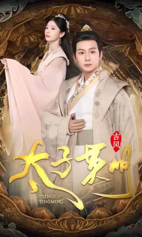 太子英明(100集)穿越剧-紫橙资源网