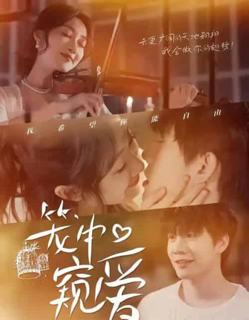 笼中窥爱（68集全）陈敬德＆海依凡-紫橙资源网