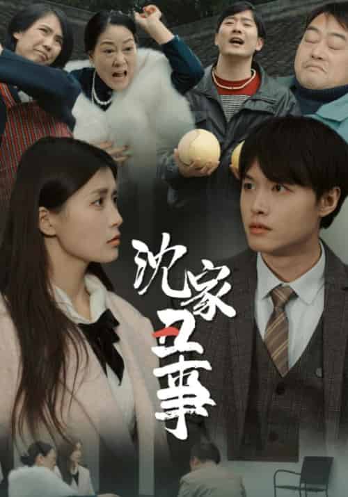 沈家丑事(24集全)沈叶风&林佳音-紫橙资源网