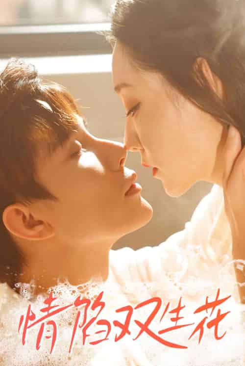 情陷双生花（30集）吴思橦＆曹博尊-紫橙资源网
