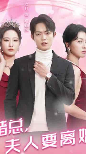 褚总夫人要离婚（94集）-紫橙资源网