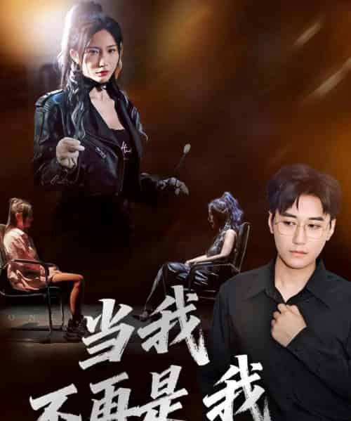 当我不再是我（70集全）韩子浩＆维尼-紫橙资源网