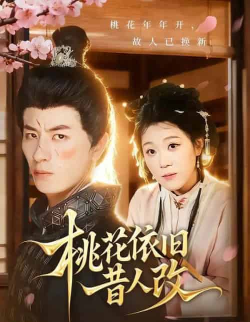 桃花依旧昔人改（72集全）安敏＆刘定琛-紫橙资源网
