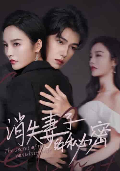 消失妻子的秘密（60集全）苏译＆梁云歌-紫橙资源网