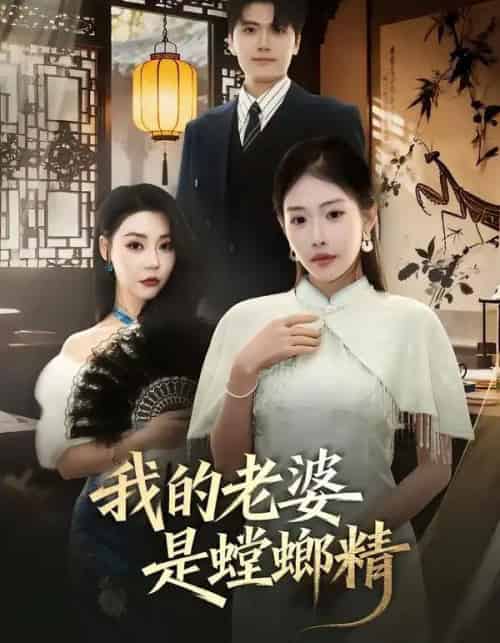 我的老婆是螳螂精（53集全）杜依依＆林嘉翊＆乔婉宁-紫橙资源网