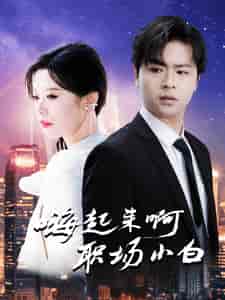 嗨起来啊职场小白（56集全）-紫橙资源网