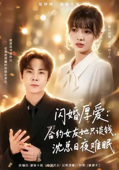 闪婚厚爱:合约女友她只谈钱,沈总日夜难眠(80集全)张天方&王靖雯-紫橙资源网