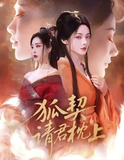 狐契：请君枕上（81集全）毛祁生＆觅七-紫橙资源网