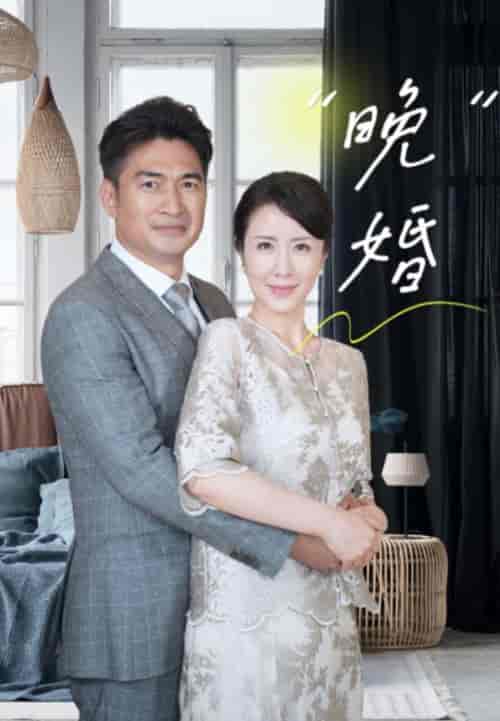 晚婚（65集全）秦鹏海＆宋秋华 - 紫橙短剧