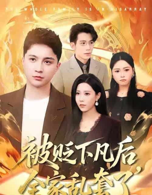 被贬下凡后，全家乱套了（88集全）建泽正＆岳舒窃-紫橙资源网